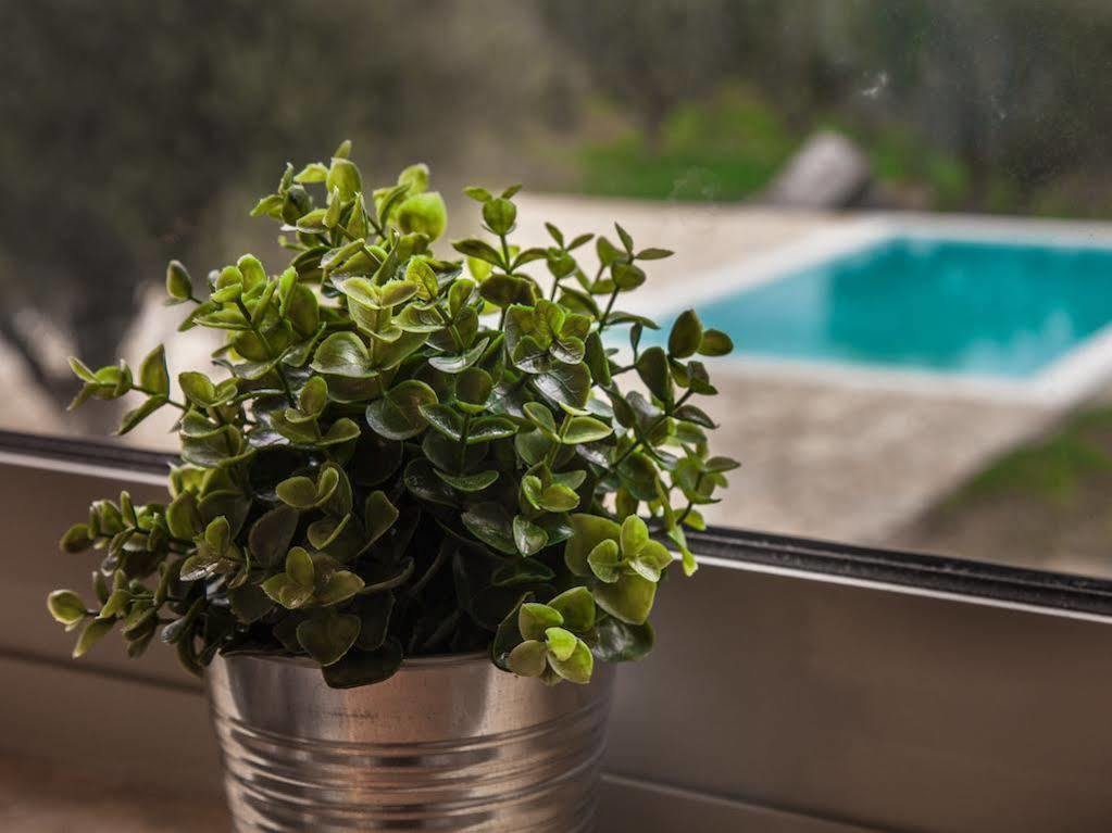 Abelia Luxurious Villas Finikounta Esterno foto