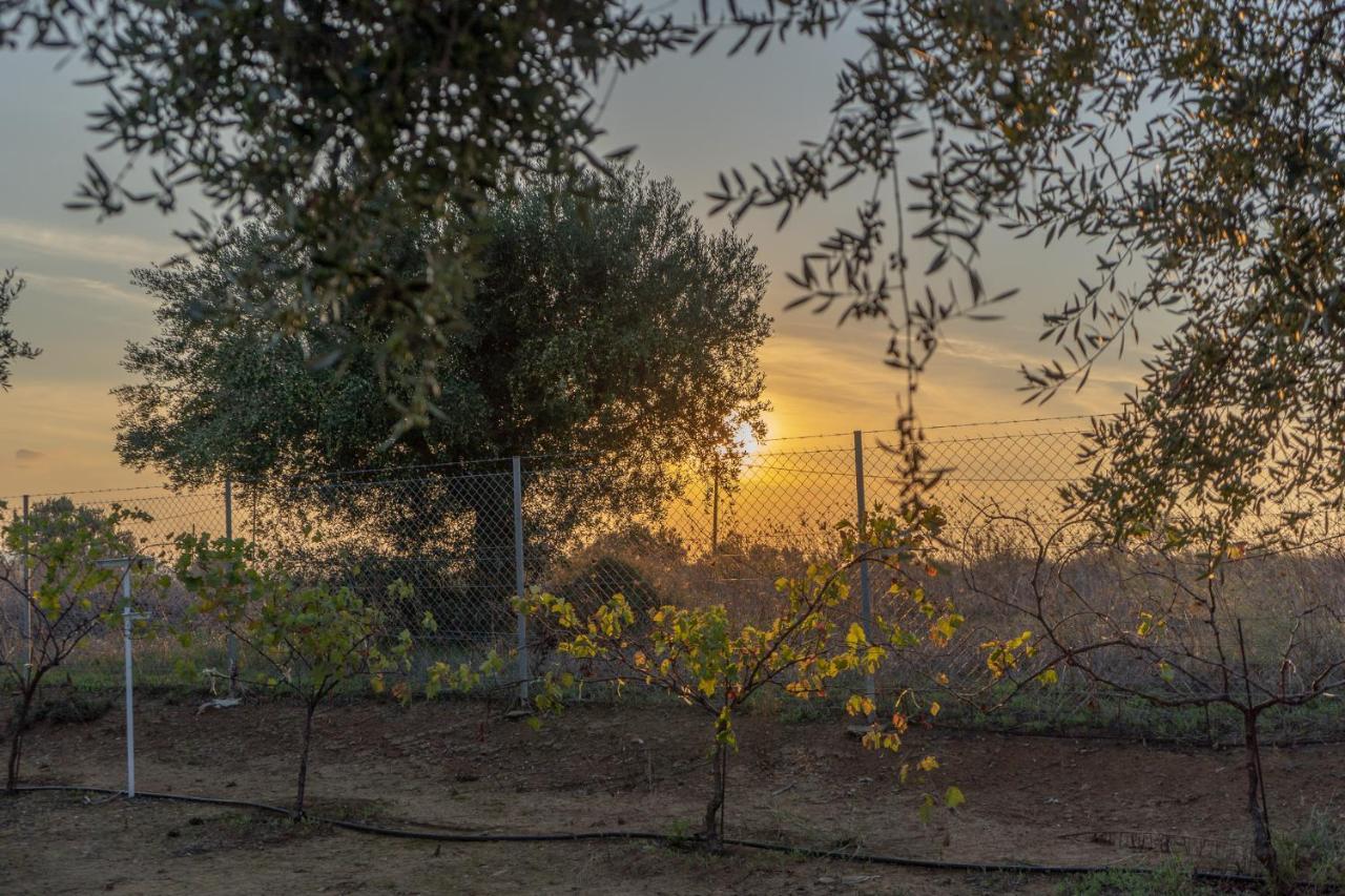 Abelia Luxurious Villas Finikounta Esterno foto