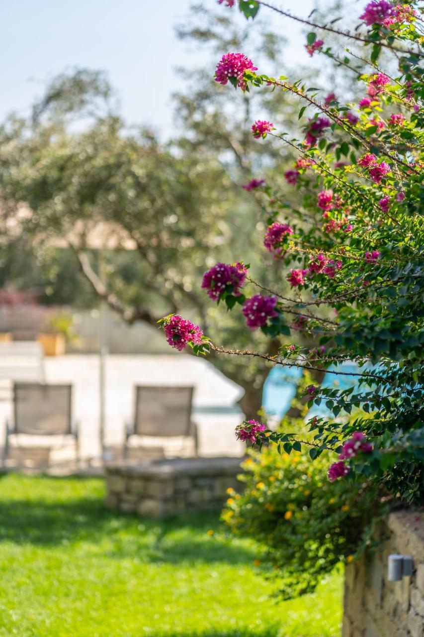 Abelia Luxurious Villas Finikounta Esterno foto